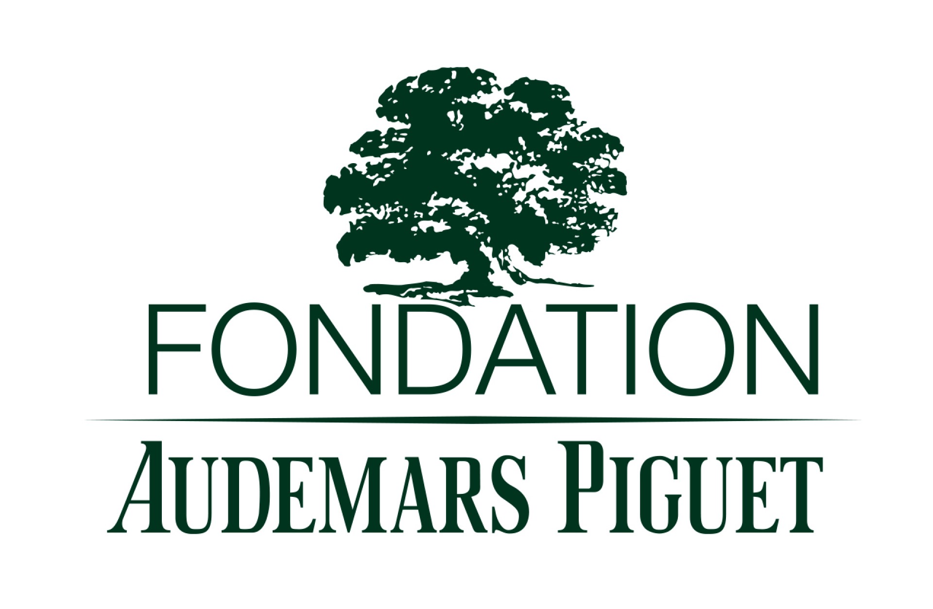 Audemars Piguet Foundation: A Legacy of Environmental and Social Impact